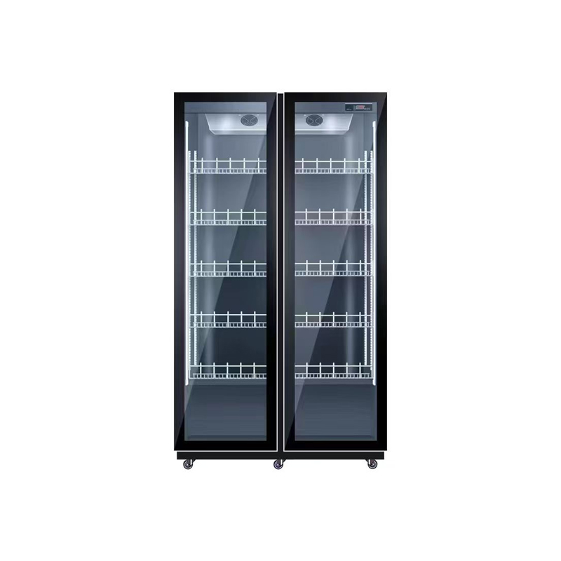 Lemari Pendingin Minuman Dua P - Wine Beer Dual Zone ulasan dan harga